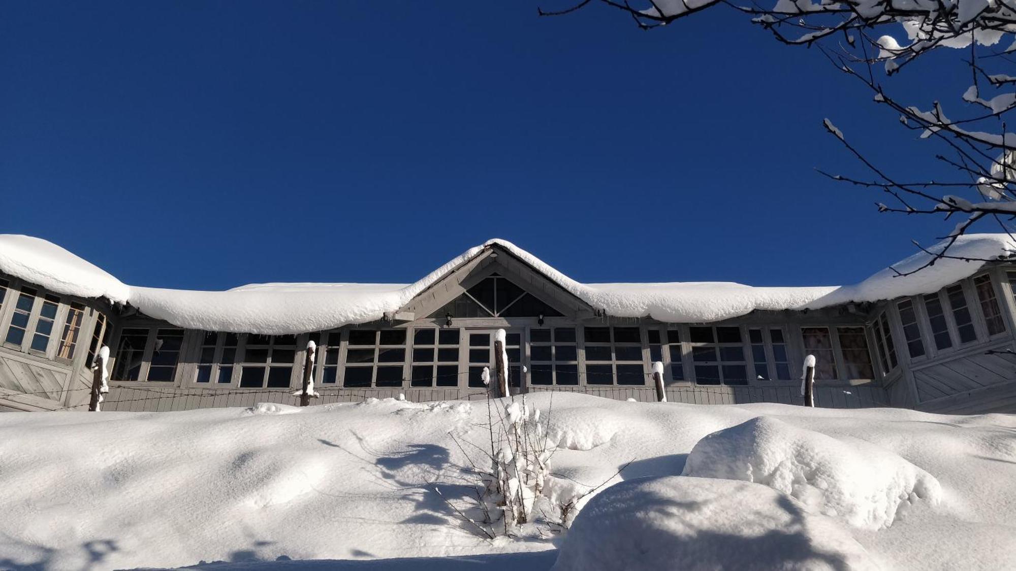 Black Bear Cottage Khajjiar Exterior foto