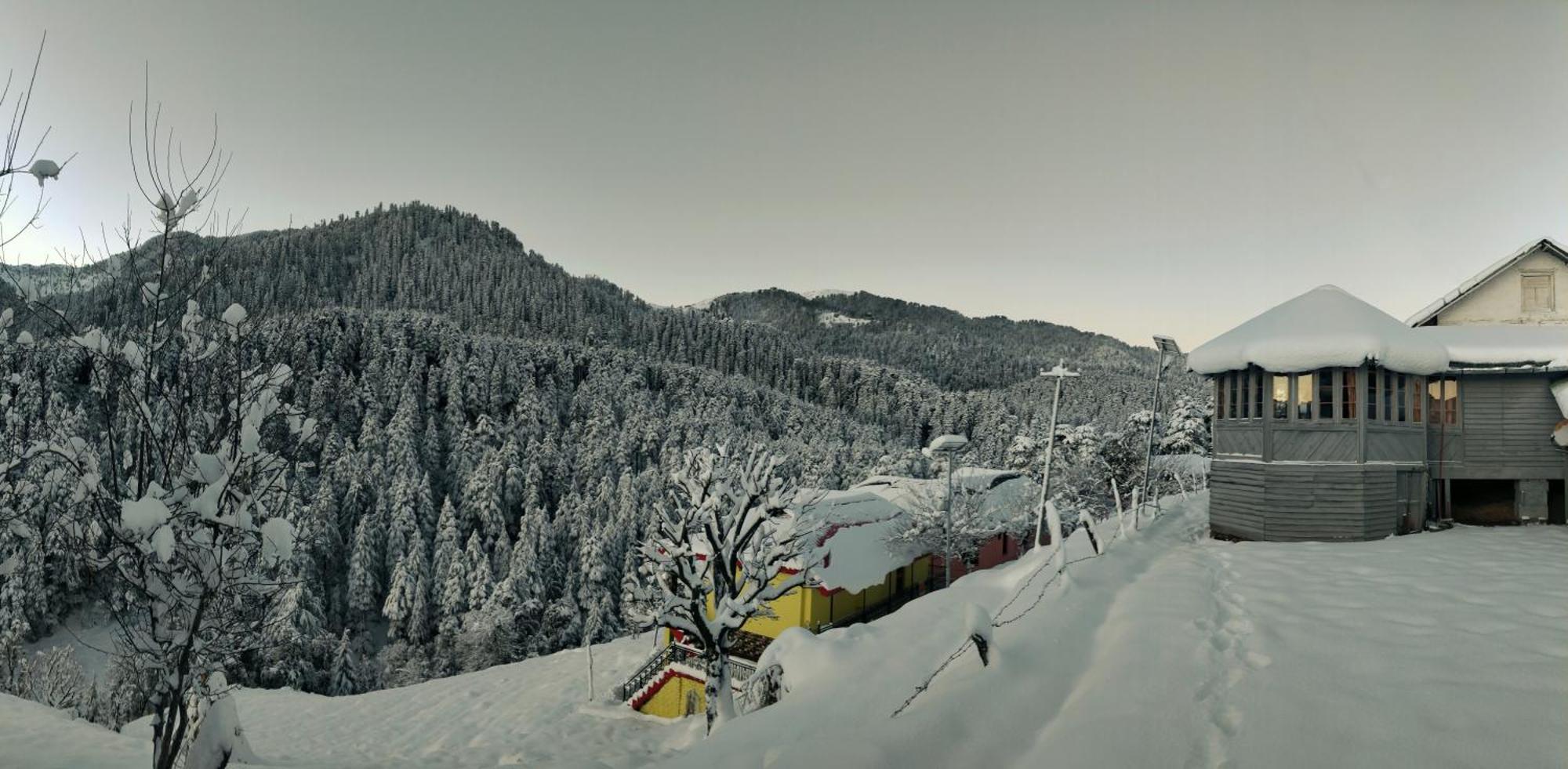 Black Bear Cottage Khajjiar Exterior foto
